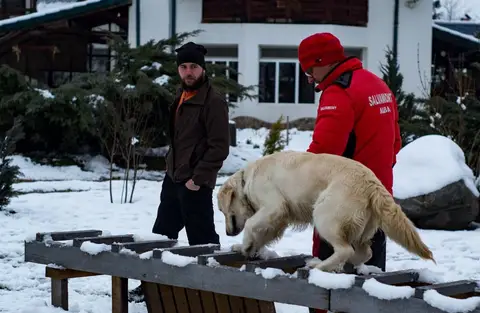 CST National Search and Rescue Dog Camp 2018