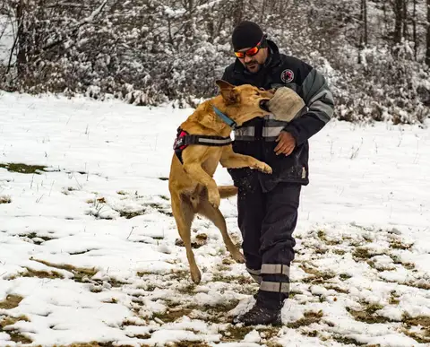 CST National Search and Rescue Dog Camp 2018