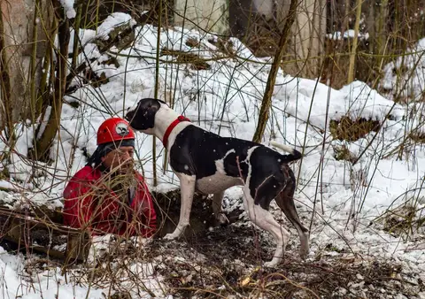CST National Search and Rescue Dog Camp 2018