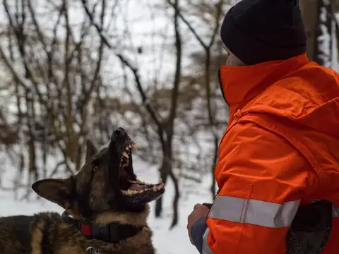 CST National Search and Rescue Dog Camp 2018