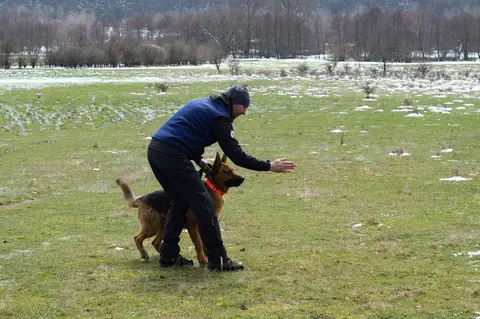 CST National Search and Rescue Dog Camp 2018