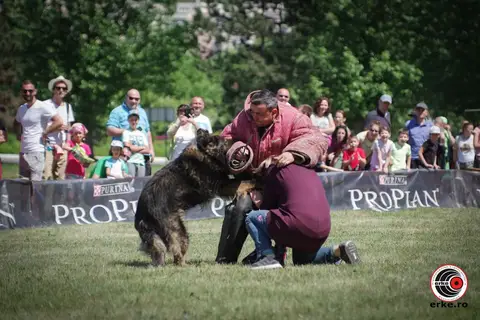 HiperParada Animalelor la Cora - ediția a X-a