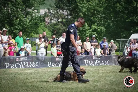 HiperParada Animalelor la Cora - ediția a X-a