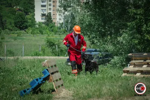 HiperParada Animalelor la Cora - ediția a X-a