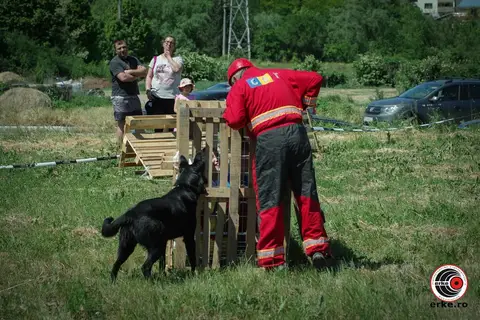 HiperParada Animalelor la Cora - ediția a X-a