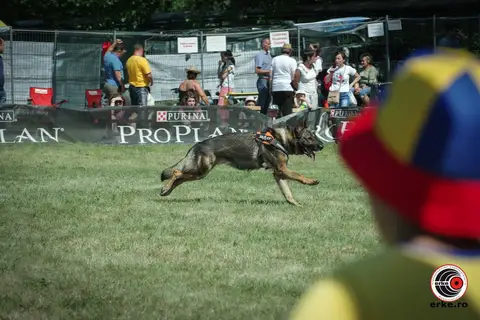 HiperParada Animalelor la Cora - ediția a X-a