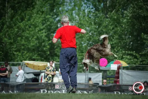 HiperParada Animalelor la Cora - ediția a X-a
