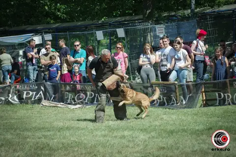 HiperParada Animalelor la Cora - ediția a X-a