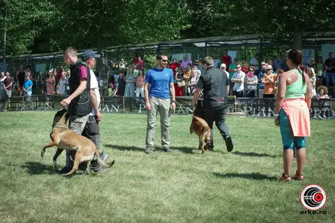 HiperParada Animalelor la Cora - ediția a X-a