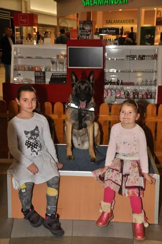 Oameni inimoși hotărâți să salveze un salvator!