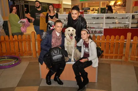 Oameni inimoși hotărâți să salveze un salvator!