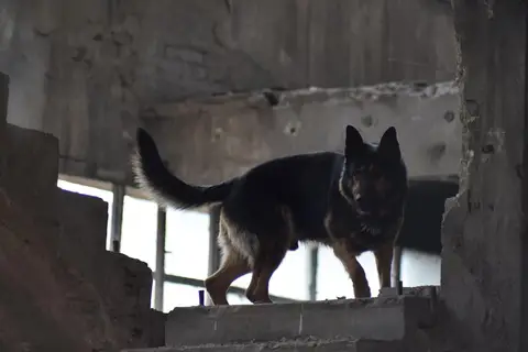 Training Sessions 2018