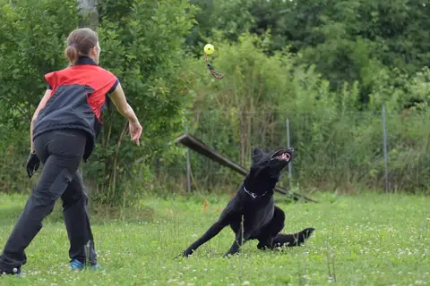 Training Sessions 2018