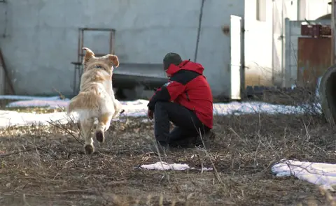CST National Search and Rescue Dog Camp – 2019