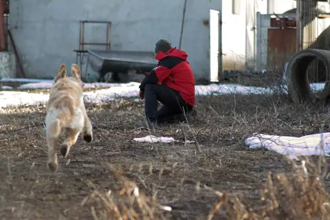 CST National Search and Rescue Dog Camp – 2019