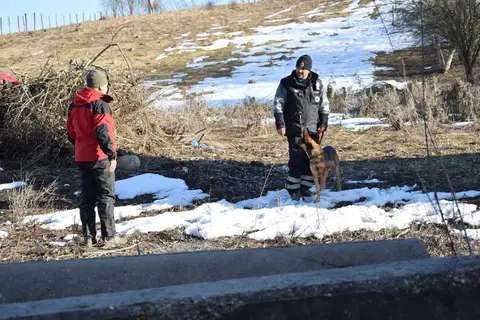CST National Search and Rescue Dog Camp – 2019