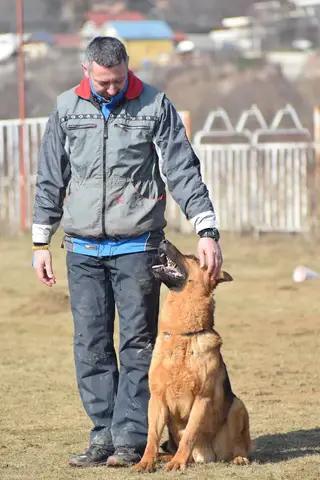 CST National Search and Rescue Dog Camp – 2019