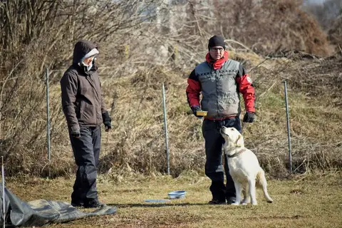 CST National Search and Rescue Dog Camp – 2019
