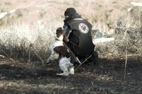 CST National Search and Rescue Dog Camp – 2019
