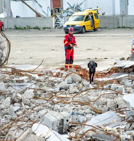 Happy Easter Rubble Training