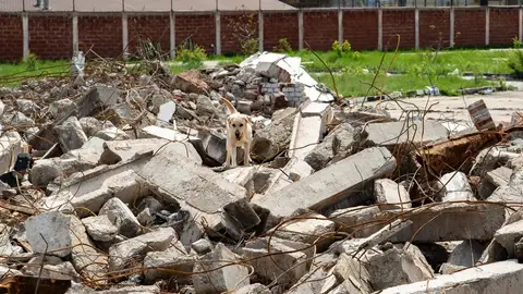 Happy Easter Rubble Training