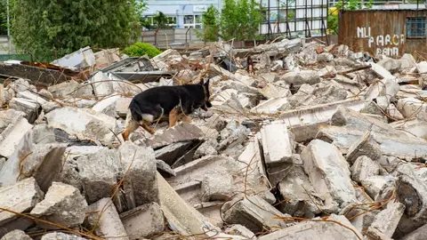 Happy Easter Rubble Training