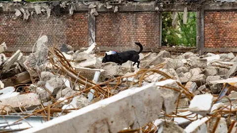 Happy Easter Rubble Training