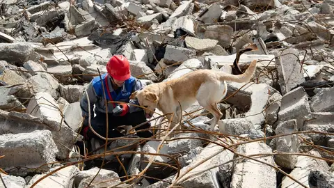Happy Easter Rubble Training