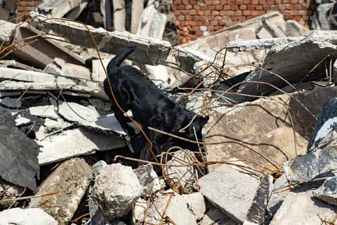 Happy Easter Rubble Training