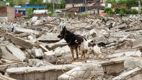 Happy Easter Rubble Training