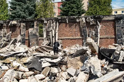 Happy Easter Rubble Training