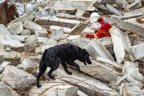 Happy Easter Rubble Training