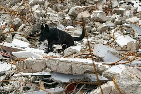 Happy Easter Rubble Training
