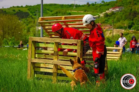 HiperParada Animalelor 2019