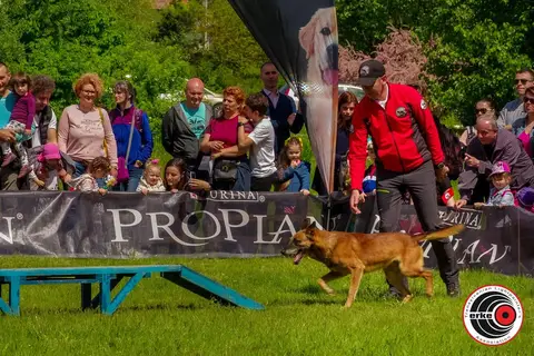 HiperParada Animalelor 2019