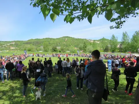 HiperParada Animalelor 2019
