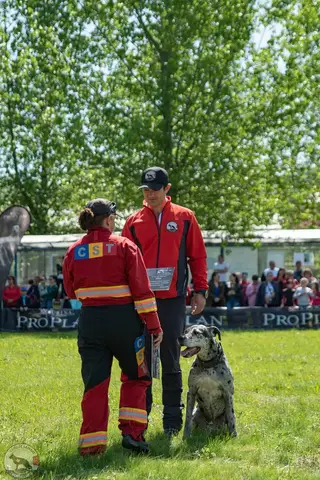 HiperParada Animalelor 2019