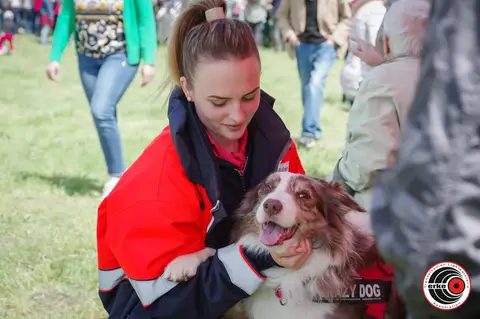 HiperParada Animalelor 2019