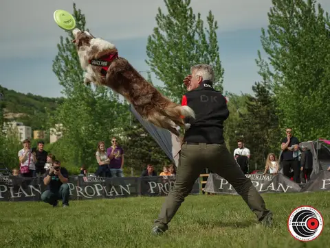 HiperParada Animalelor 2019