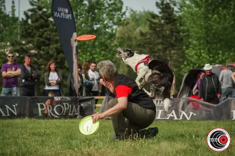 HiperParada Animalelor 2019