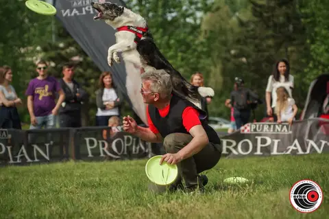 HiperParada Animalelor 2019