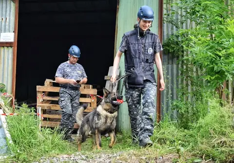 Canine Camp – 1st Edition, Timișoara, 2019