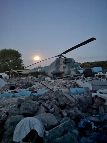 Tabăra de pregătire a câinilor de salvare - Jászberény 2019