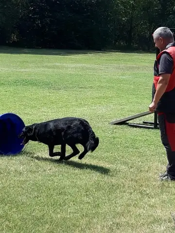 Tabăra de pregătire a câinilor de salvare - Jászberény 2019