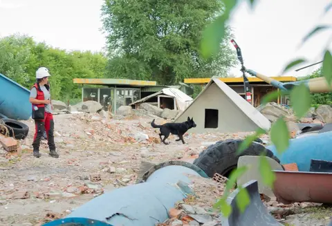 Tabăra de pregătire a câinilor de salvare - Jászberény 2019