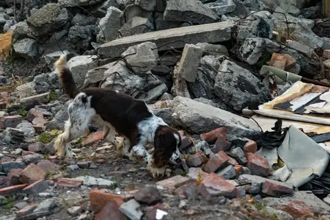 Tabăra de pregătire a câinilor de salvare - Jászberény 2019