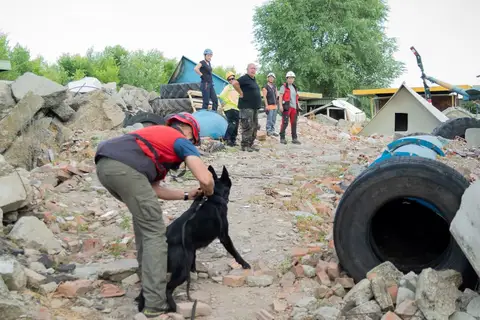 Tabăra de pregătire a câinilor de salvare - Jászberény 2019