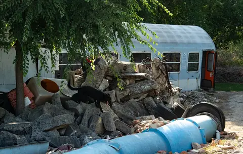 Tabăra de pregătire a câinilor de salvare - Jászberény 2019