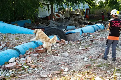 Tabăra de pregătire a câinilor de salvare - Jászberény 2019