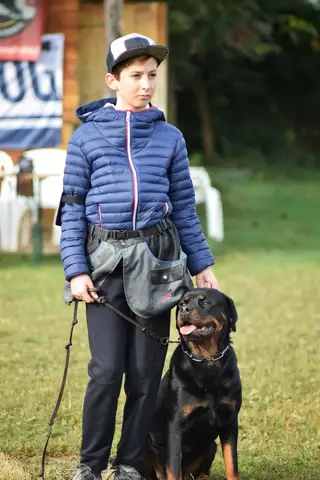 Examen BH Cluj-Napoca